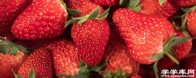北京昌平草莓的主要品种有哪些